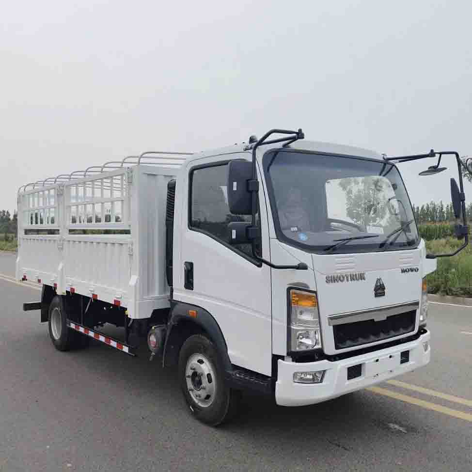 کامیون باری نوری Sinotruk Howo 4x2